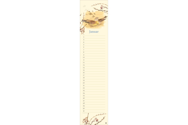 HEYE Geburtstagskalender 1908-05 Edith Holden 11x49cm