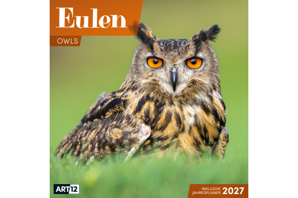 ACKERMANN Bildkalender 2027 4724 Eulen ML 30x30cm