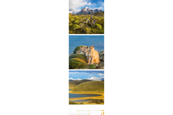 ACKERMANN Bildkalender 2027 2756 Nature ML 33x100cm