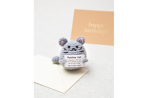 I AM CREA Positive Cat 8.5cm 1000-1857 grau