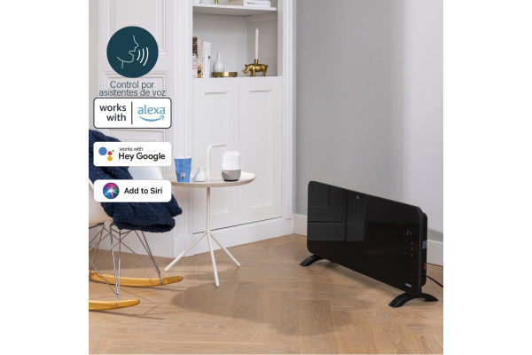 PRINCESS Konvektoren Heizung 01.348200 schwarz, 2000W