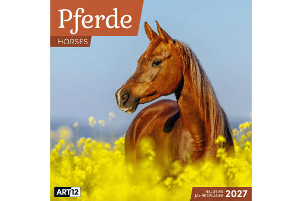 ACKERMANN Bildkalender 2027 4721 Pferde ML 30x30cm