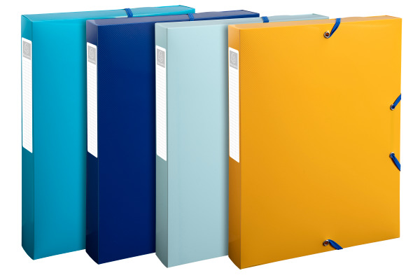 EXACOMPTA Archivbox A4 59140E sortiert PP