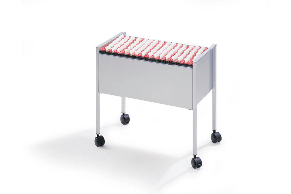 DURABLE Hängemappenboy Economy 309510 lichtgrau