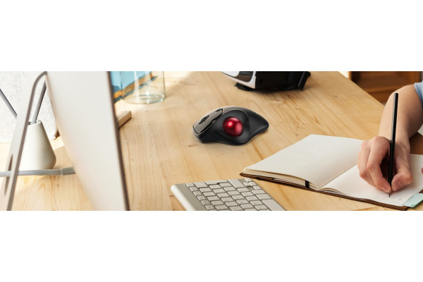 KEYSONIC Ergonomische Trackball Maus, KSM-6101R DPI Einstellung, Grau