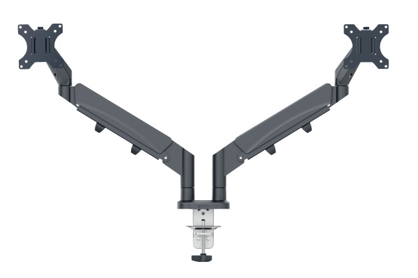 LEITZ Monitorarm ERGO 65370089 grau, dual