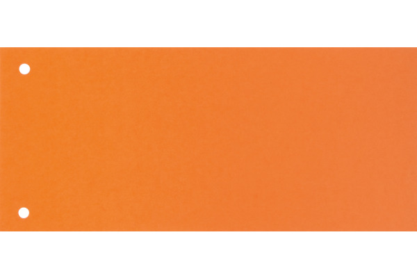 BIELLA Trennstreifen Karton 2 Loch 19919035U orange, 24x10.5cm 100 Stk.