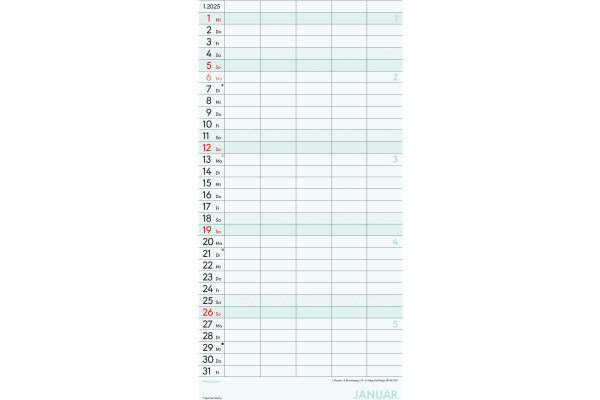 ALPHA EDI Superplaner L 2026 160319 1M/1S DE 5 Spalten 22x45cm