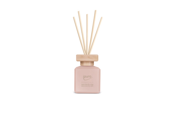 IPURO Raumduft Young Line 50540005 time for a hug 50ml