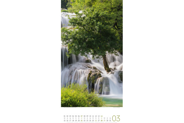 ACKERMANN Bildkalender 2027 2720 Bäume ML 33x66cm