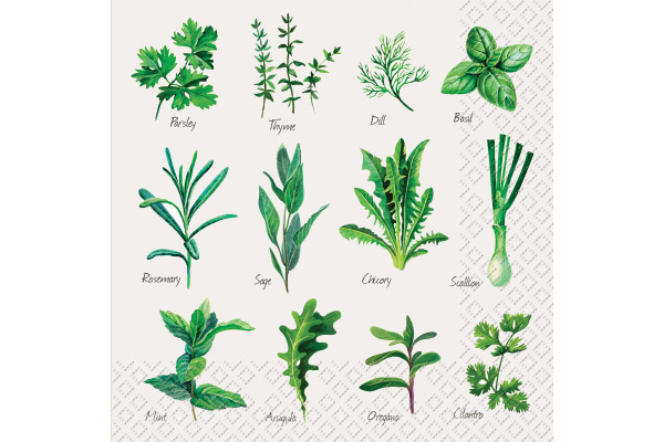 STEWO Serviette Herb 33x33cm 572598745 grün 20 Stück