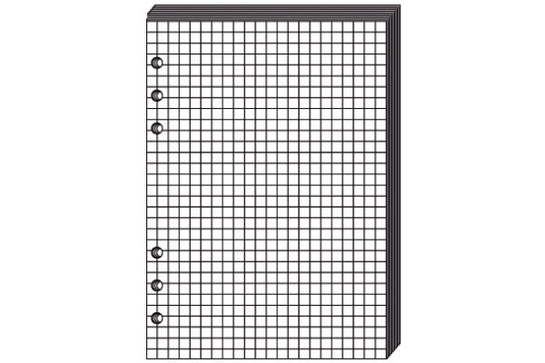 QUO-VADIS Timer21 Planing Notizen 722001Q kariert 15x21cm
