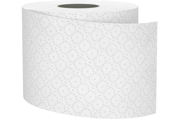 SATINO Toilettenpapier HiCycle 067750 2-lagig, 8 Rollen à 250 Blatt