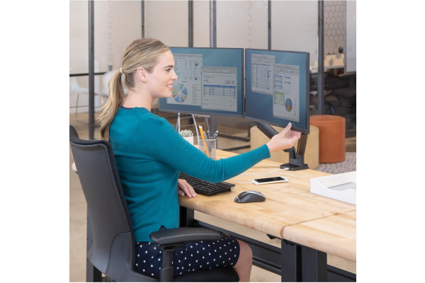 FELLOWES Monitorhalter Platinum Series 8042501 doppel, schwarz, 2xUSB