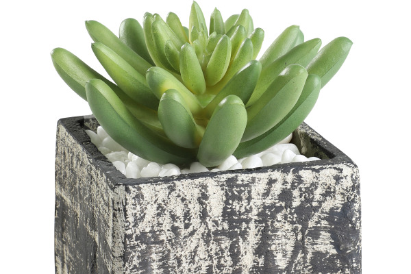 EGLO Kunstpflanze 12cm 428007 grün, im Topf