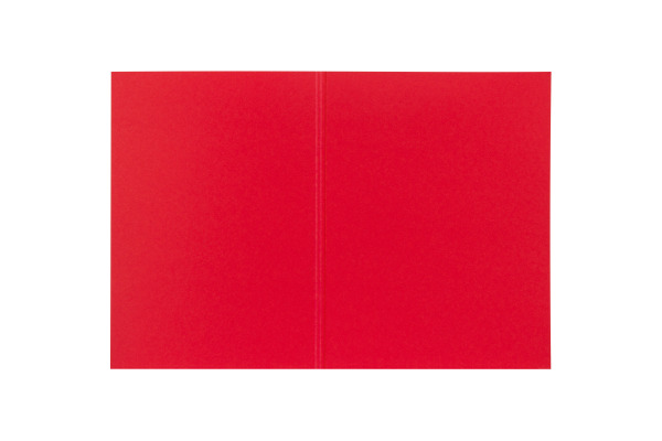 BIELLA Vertikalmappe Recycolor 25342745U 32x23,3/24,3cm, rot 100 St.
