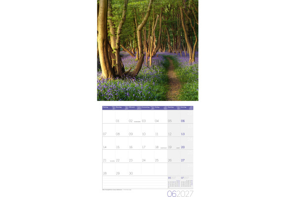 ACKERMANN Bildkalender 2027 4711 Zauber des Waldes ML 30x30cm