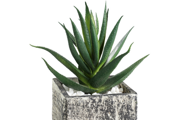 EGLO Kunstpflanze 12cm 428008 grün, im Topf