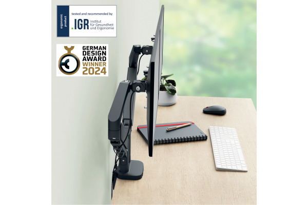 LEITZ Monitorarm ERGO 65370089 grau, dual