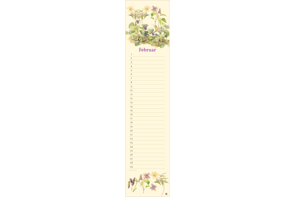 HEYE Geburtstagskalender 1908-05 Edith Holden 11x49cm