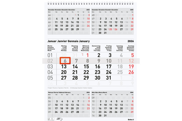 BIELLA 5-Monatskalender Wire-O 2026 889030000 5M/1S grau ML 31x40cm