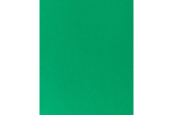 I AM CREA Tonpapier 50x70cm 29012083 120g, tannengrün