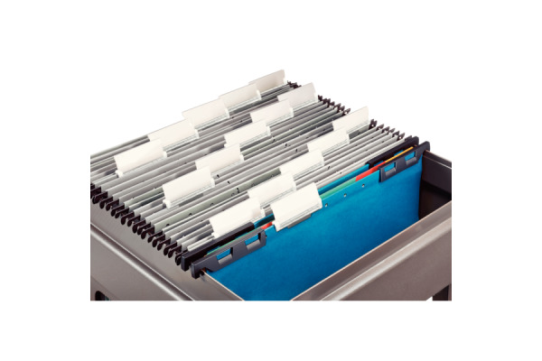 LEITZ Register-Hängemappe Divide A4 18900035 blau 32.2x24.6cm 6 Fächer