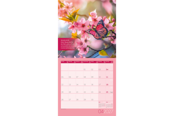 ACKERMANN Bildkalender 2027 4733 Alles wird gut ML 30x30cm