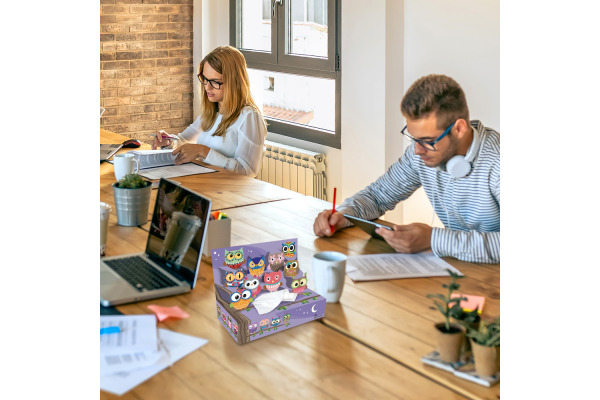 ROOST Taschentuch Box 1376005 Eulen