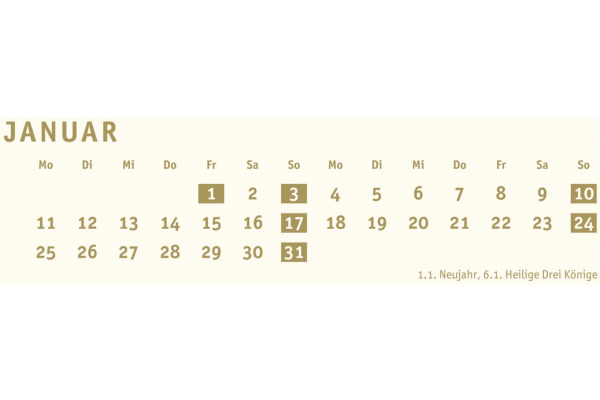 HEYE Bastelkalender 2027 22993+27 gold 21x29.7cm
