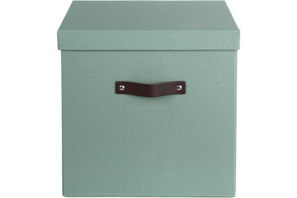 BIGSO BOX Aufbewahrungsbox Logan 9901C1649 mintgrün 31.5x31x31.5cm