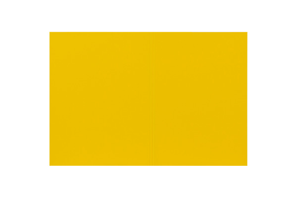 BIELLA Vertikalmappe Recycolor 25342720U 32x23,3/24,3cm, gelb 100 St.