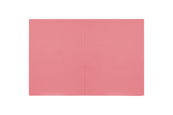 BIELLA Einlagemappe A4 25040045U rot 240g/m2 100 Stück