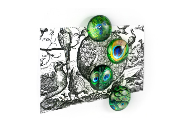TRENDFORM EYE Magnete PEACOCK EY2020 4er Set