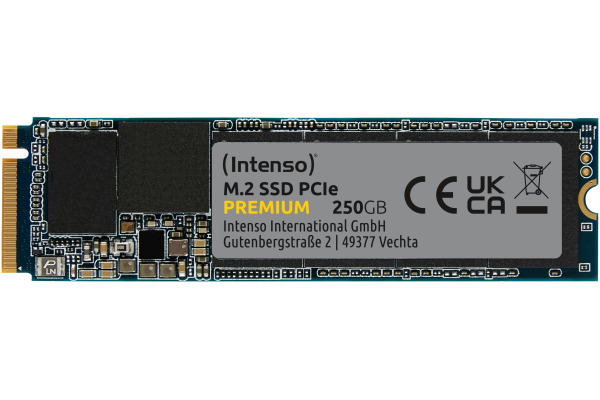 INTENSO M.2 SSD Premium 250GB 3835440 PCIe, m.2 2280