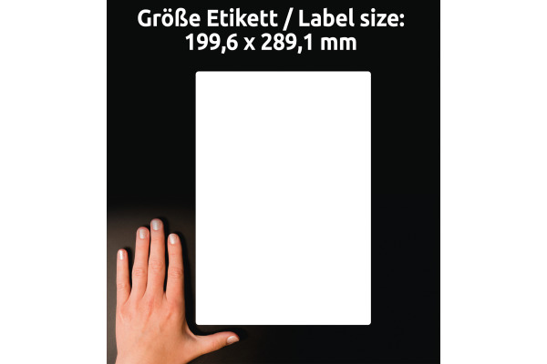 AVERY ZW. Adressetiketten 199,6x289,1mm J8167-25 weiss 25 Stück