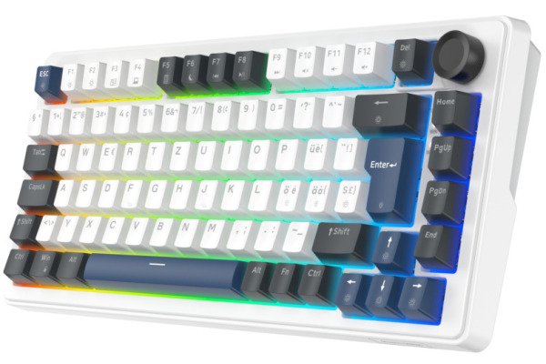 DELTACO Mech. Keyboard Gasket DK480 GAM-205-W PBT keycaps,Hot-swap,WH. CH