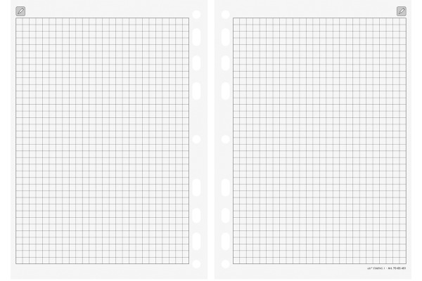 RIDOIDE Timing 3 Notizen kariert 7067451 32 Blatt 7.6x12.7cm