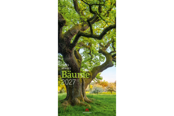 ACKERMANN Bildkalender 2027 2720 Bäume ML 33x66cm