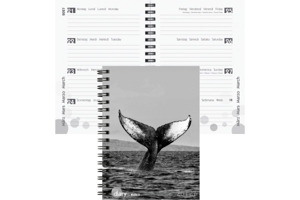 BIELLA Schüleragenda Whale 26/27 17860027U 1W/2S 12x16.5cm