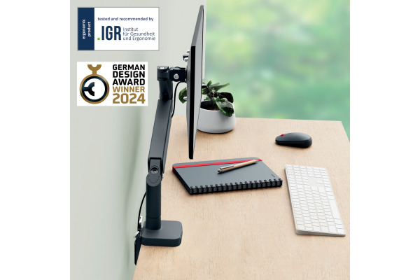 LEITZ Monitorarm ERGO 64890089 grau, single