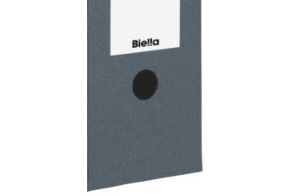 BIELLA Archivschachtel A4 26341027U d.grau 27.8x10x32.3cm 10 Stk.