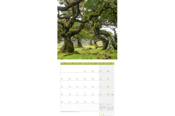 ACKERMANN Bildkalender 2027 4711 Zauber des Waldes ML 30x30cm