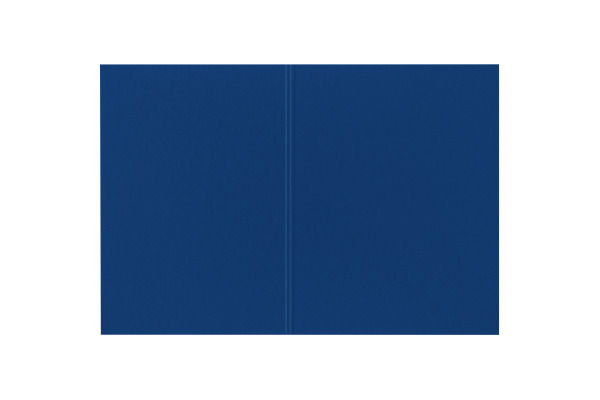 BIELLA Vertikalmappe Recycolor 25342705U 32x23,3/24,3cm, blau 100 St.