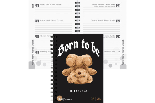 BIELLA Schüleragenda Skater 26/27 17820027U 1W/2S 12x16.5cm