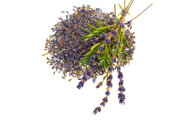 GLOREX Lavendelblüten 4g 61601105 violett