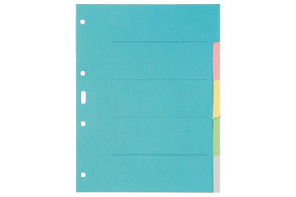 BIELLA Kartonregister A4 46140500U bunt 5-teilig