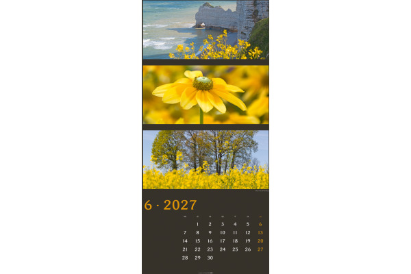 WEINGARTE Bildkalender 2027 322610027 Farben der Natur DE 33x68cm