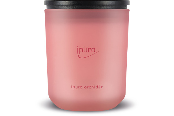 IPURO Duftkerze 270g 61.4186 orchidée