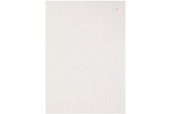 ARTOZ Karten 1001 A4 269614242 216g, tortilla 5 Blatt